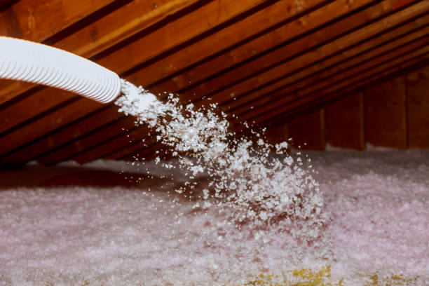 Best Geographic-Specific Insulation Services in Clever, MO