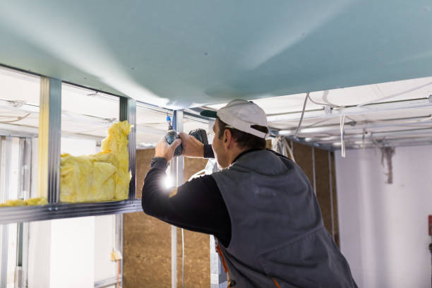 Best Spray Foam Insulation in Clever, MO