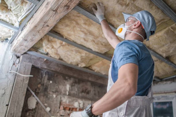 Best Fiberglass Insulation in Clever, MO